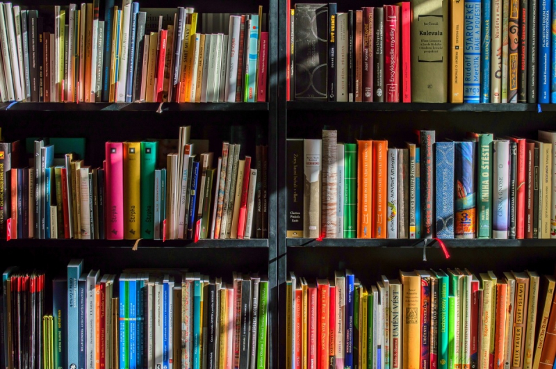 ecommerce-SEILLANS-min_books_bookstore_book_reading_shop_writer_sale_books_read-822866